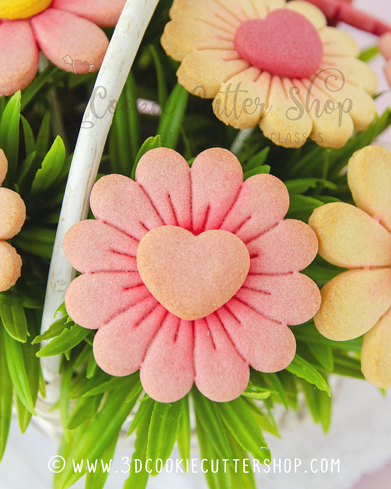 BENBO 16PC Bee & Flower Cookie Cutter Set With Plunger Stamps – Spring Floral Shapes | Fondant & Biscuit Molds