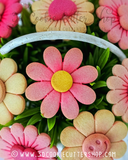 3D Daisy Flower + STAMP Cookie Cutter Set + COOKIE RECIPE | Biscuit - Fondant - Clay Cutters