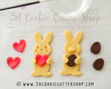 Hugging Bunny IMPRINT Cookie Cutter Set + COOKIE RECIPE | Biscuit - Fondant - Clay Cutters