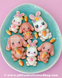 Bunny Couple Cookie Cutter Set
