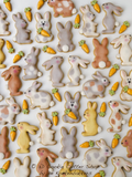 Bunny Cookie Cutter Set | Biscuit - Fondant - Clay Cutters