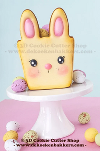 Easter Egg Cookie Box Cookie Cutter Set, Fondant Cutters